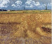 Wheat Field